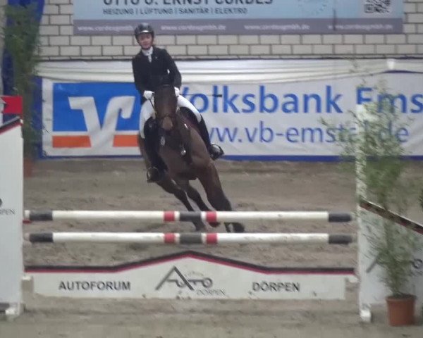 Spring-Pferde-Festival Lathen 2016