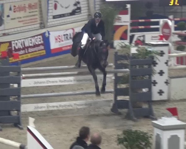 Spring-Pferde-Festival Lathen 2016