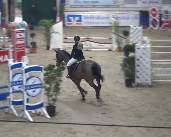 Spring-Pferde-Festival Lathen 2016