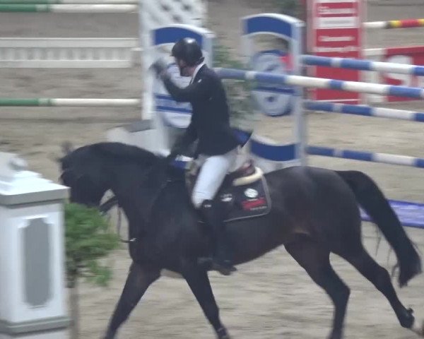 Spring-Pferde-Festival Lathen 2016