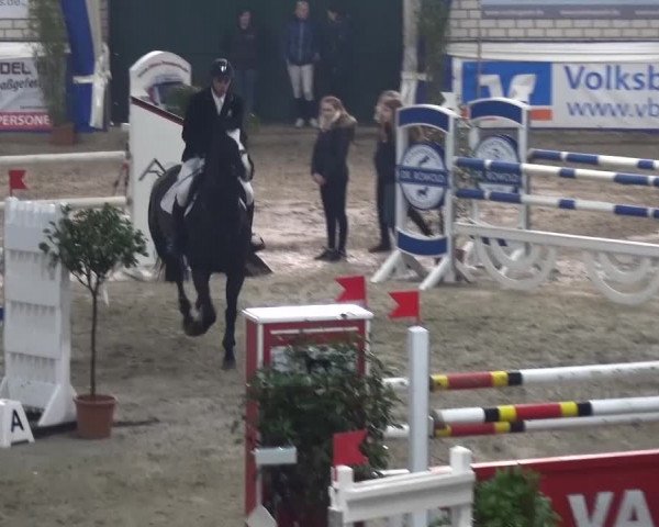 Spring-Pferde-Festival Lathen 2016