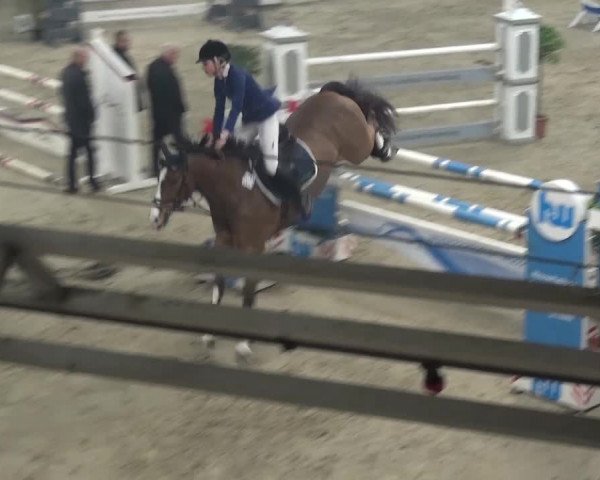 Spring-Pferde-Festival Lathen 2016