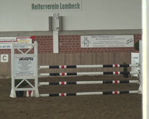 Reitturnier Lembeck 2016