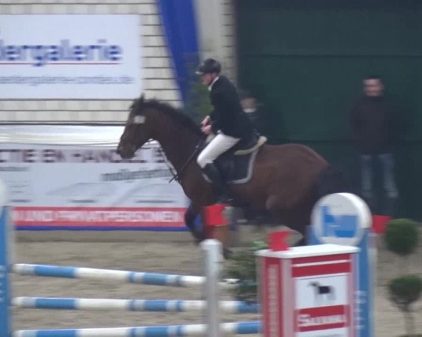 Spring-Pferde-Festival Lathen 2016