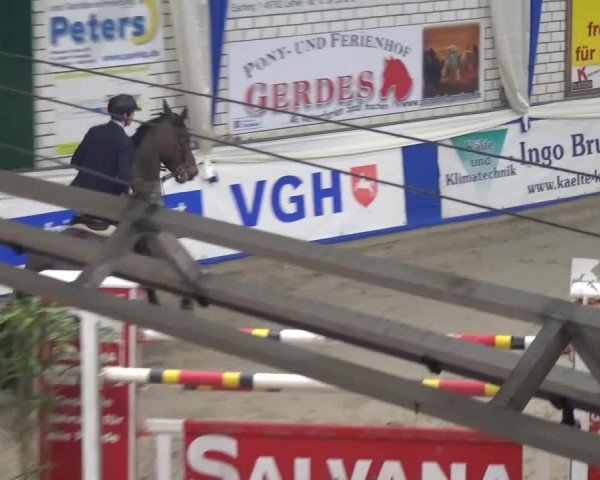Spring-Pferde-Festival Lathen 2016