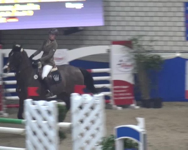 Spring-Pferde-Festival Lathen 2016