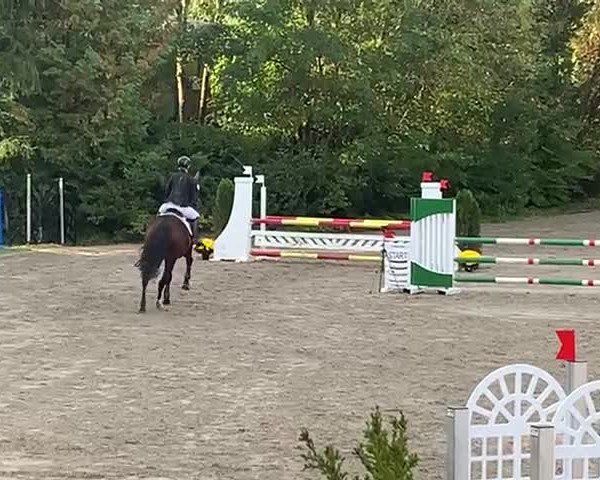 Video von Top One 2