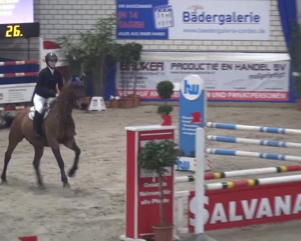 Spring-Pferde-Festival Lathen 2016
