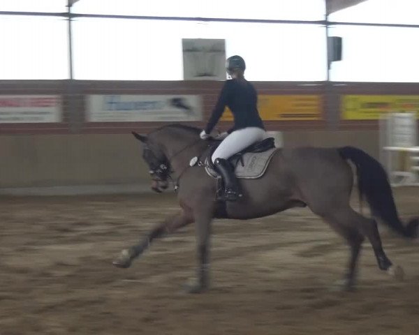 Reitturnier Lembeck 2016