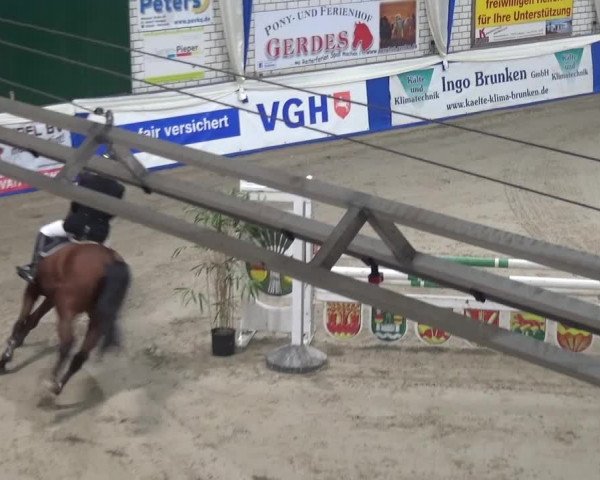 Spring-Pferde-Festival Lathen 2016