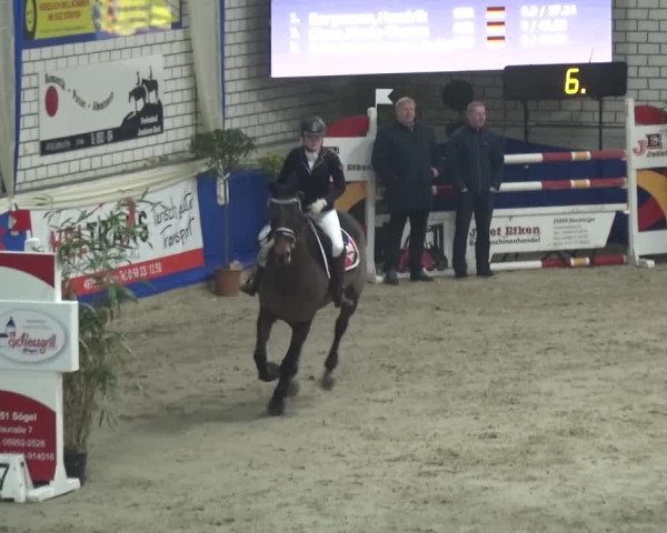 Spring-Pferde-Festival Lathen 2016