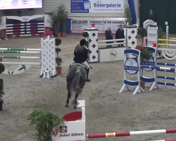 Spring-Pferde-Festival Lathen 2016