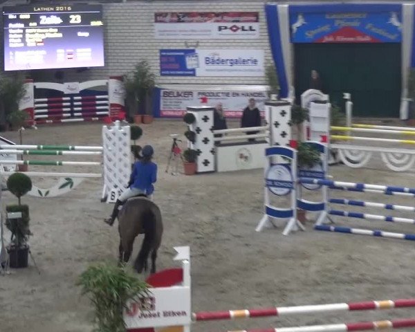 Spring-Pferde-Festival Lathen 2016