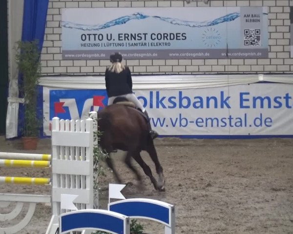 Spring-Pferde-Festival Lathen 2016
