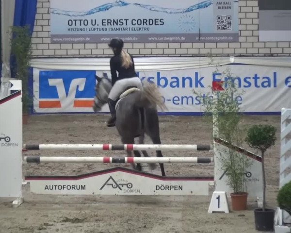 Spring-Pferde-Festival Lathen 2016