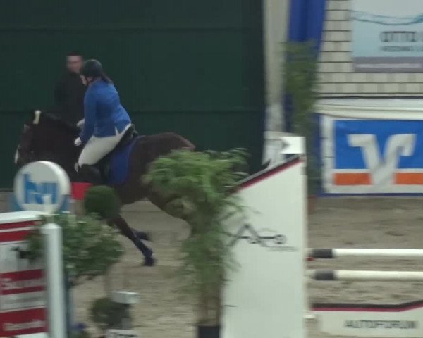 Spring-Pferde-Festival Lathen 2016