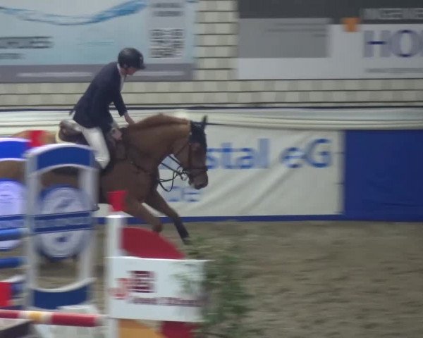 Spring-Pferde-Festival Lathen 2016