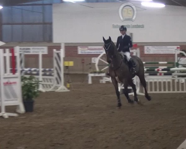 Reitturnier Lembeck 2016