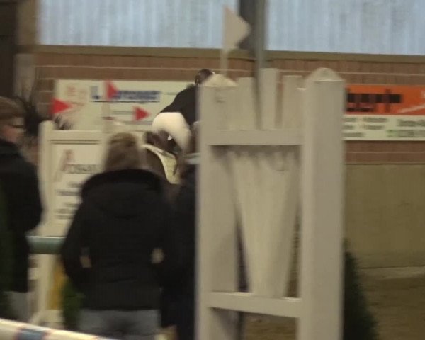 Reitturnier Lembeck 2016
