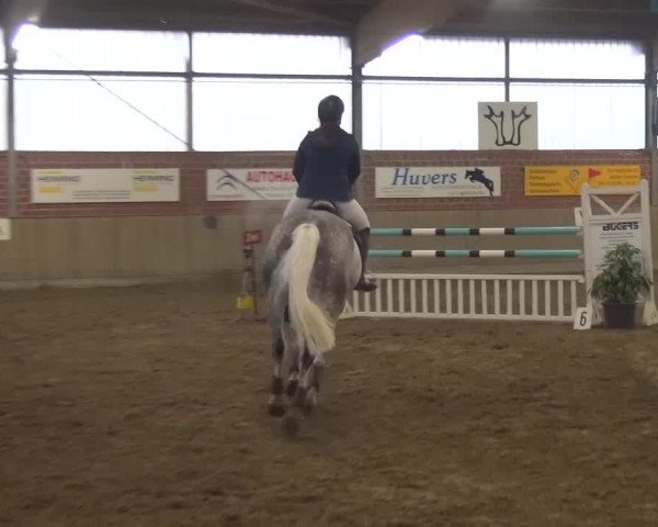 Reitturnier Lembeck 2016