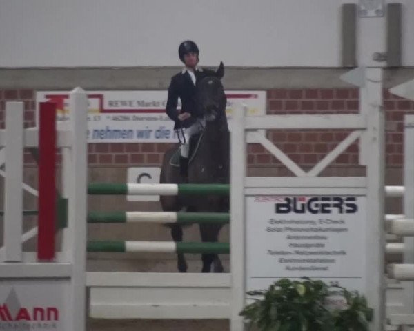 Reitturnier Lembeck 2016