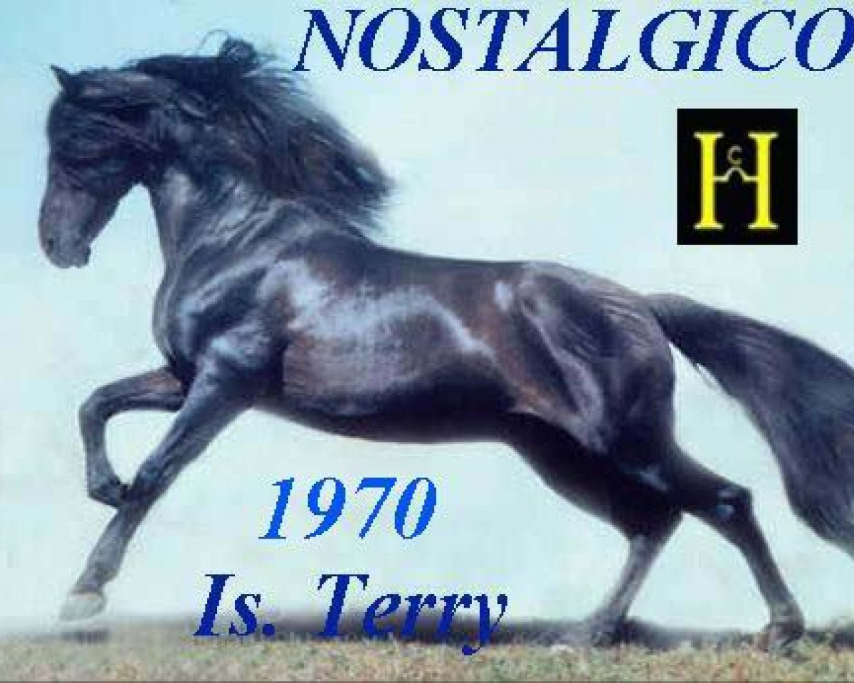 stallion Nostalgico (Pura Raza Espanola (PRE), 1970, from Hosco IV)