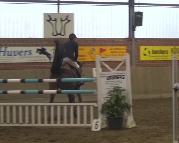 Reitturnier Lembeck 2016
