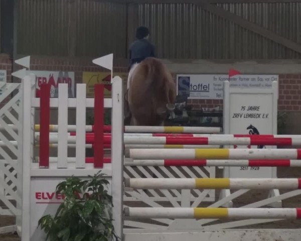 Reitturnier Lembeck 2016