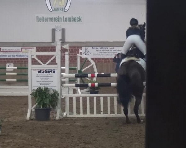 Reitturnier Lembeck 2016