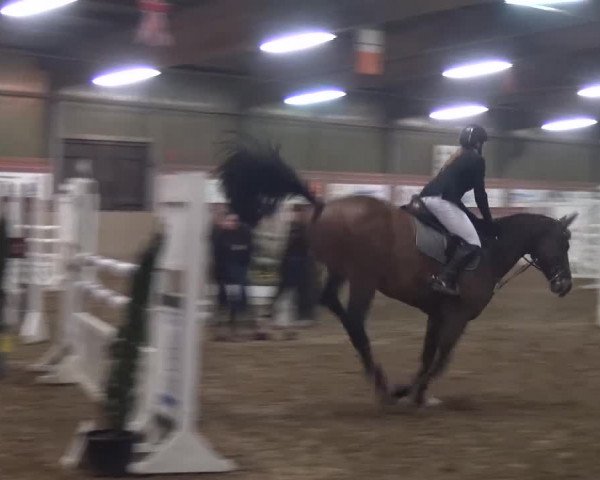 Reitturnier Lembeck 2016
