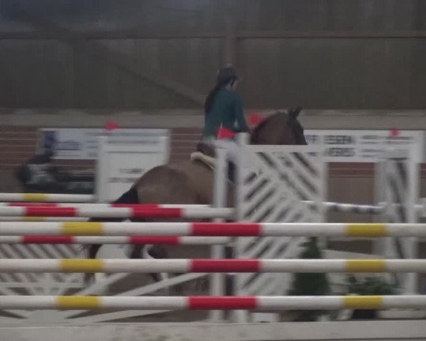 Reitturnier Lembeck 2016