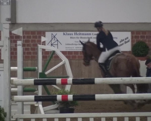 Reitturnier Lembeck 2016