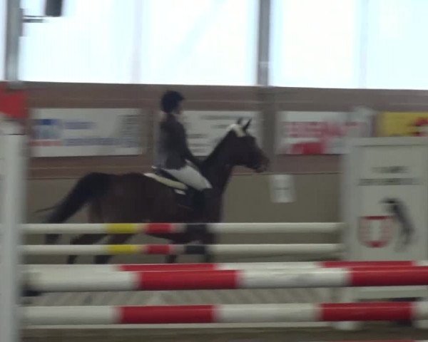Reitturnier Lembeck 2016