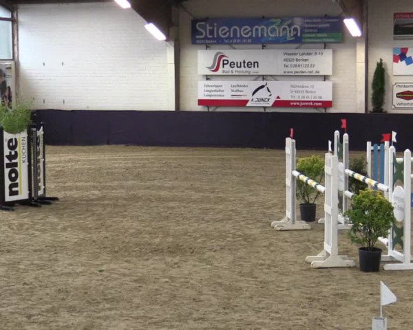 Reitturnier Borken 2016