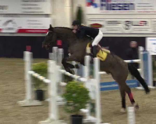 Reitturnier Borken 2016
