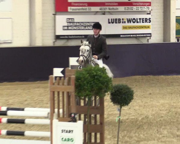 Reitturnier Borken 2016
