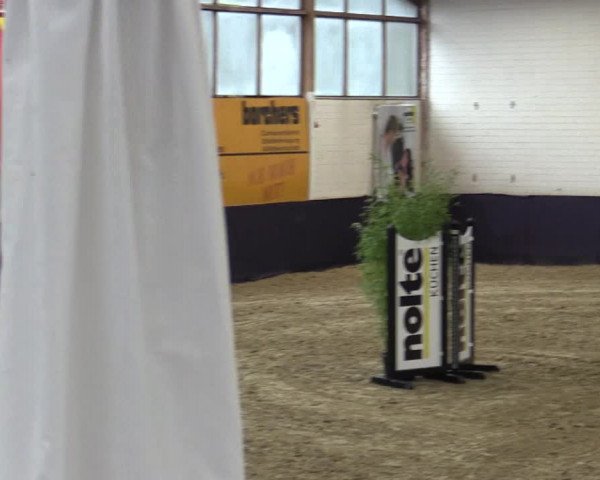 Reitturnier Borken 2016