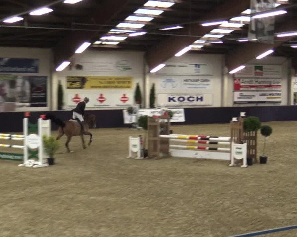 Reitturnier Borken 2016