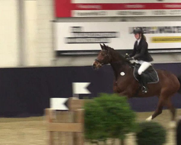 Reitturnier Borken 2016