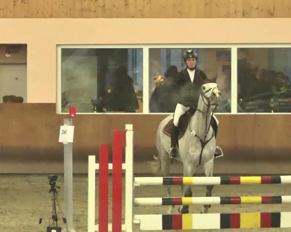 Reitturnier Dettingen 2016