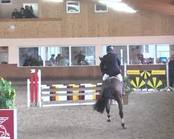 Reitturnier Dettingen 2016