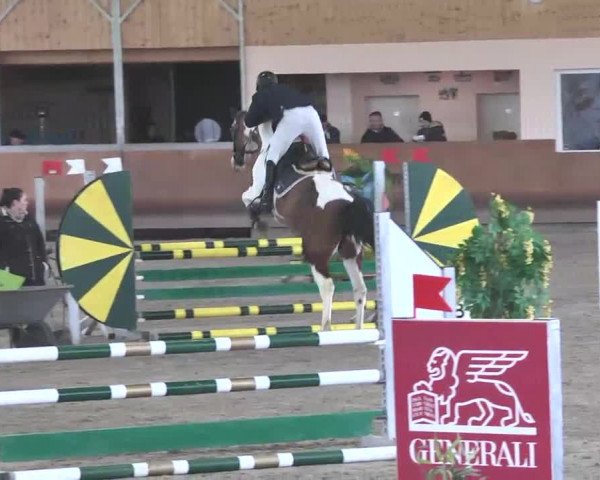 Reitturnier Dettingen 2016