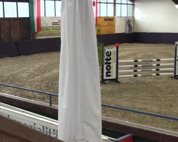 Reitturnier Borken 2016