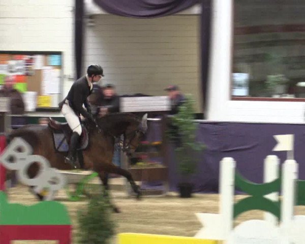 Reitturnier Borken 2016