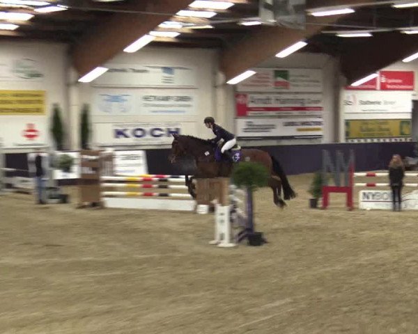 Reitturnier Borken 2016