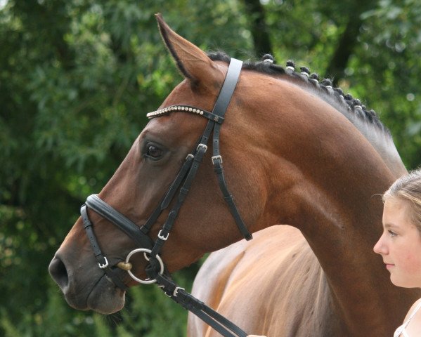 broodmare Delorielle (Oldenburg, 2014, from Rockefeller)