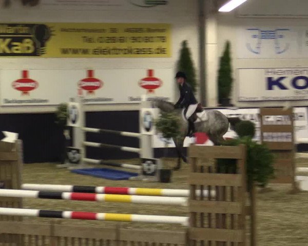 Reitturnier Borken 2016