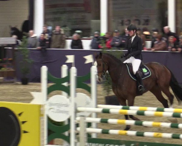 Reitturnier Borken 2016