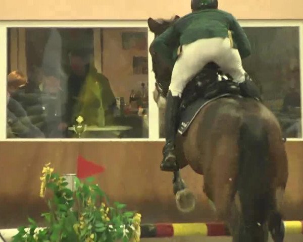 Reitturnier Dettingen 2016