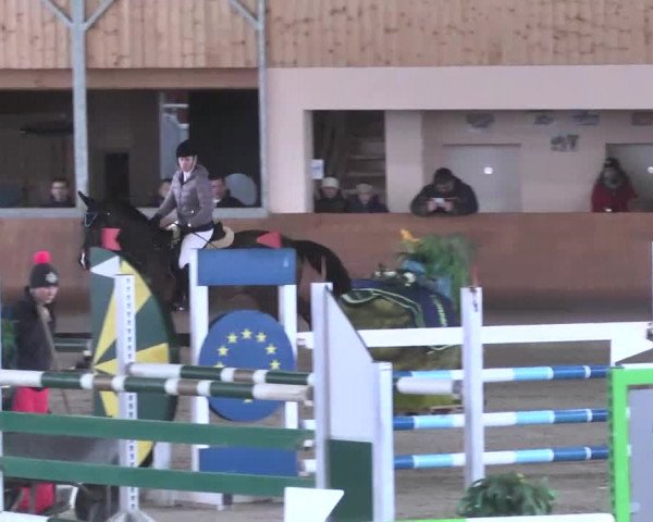 Reitturnier Dettingen 2016